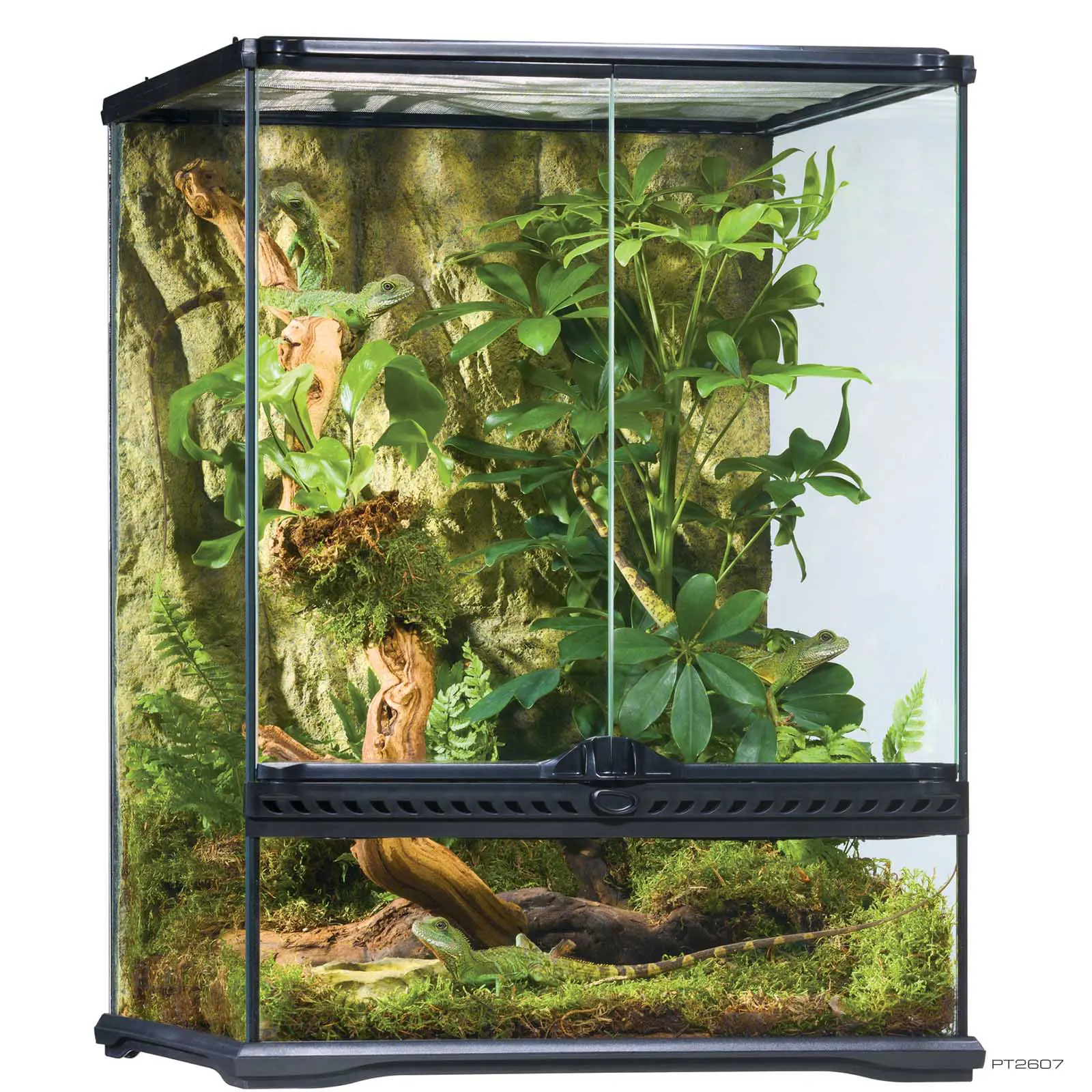 Exoterra Terrarium 45x45x60cm Small Tall