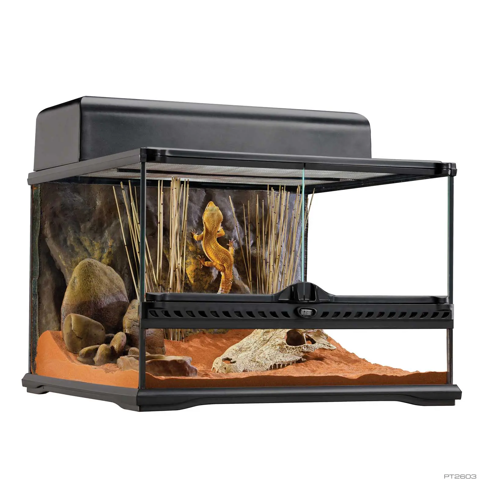 Exoterra Terrarium 45x45x30cm Small Low