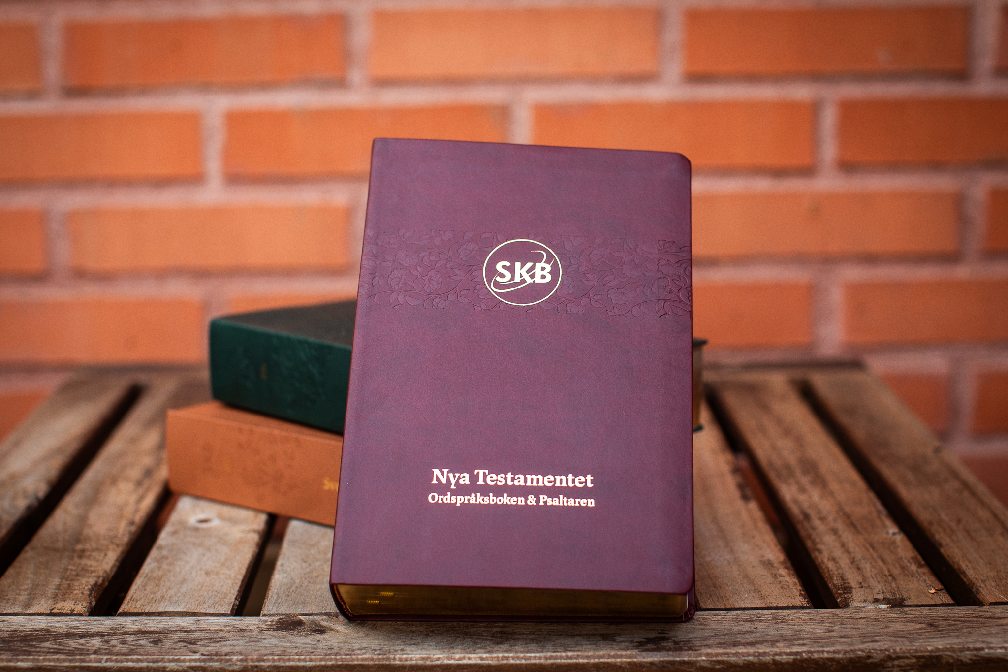 Svenska Kärnbibeln NT+  Konstskinn Brunröd - 4