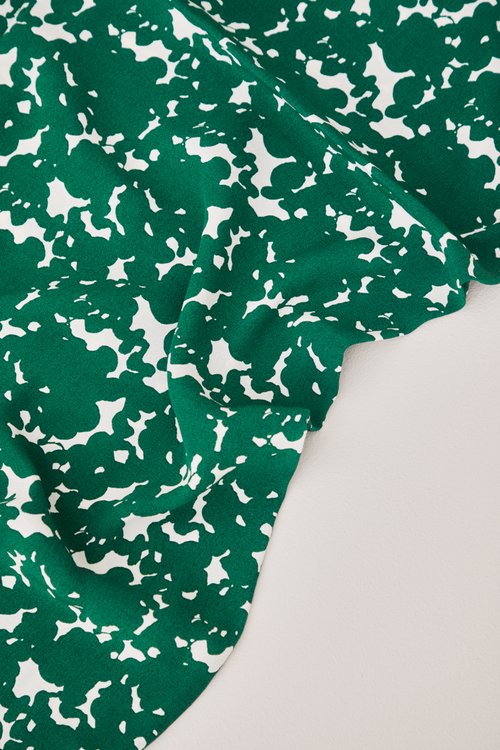CLOUDY - FROG - 2