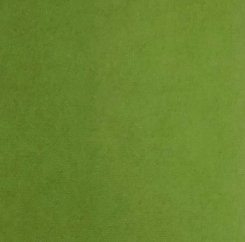 Reprint - Cardstock 12x12 - Moss