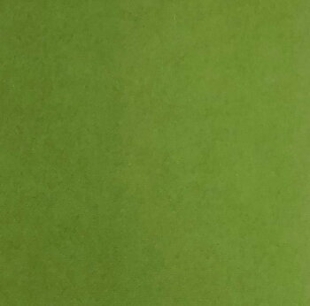 Reprint - Cardstock 12x12 - Moss