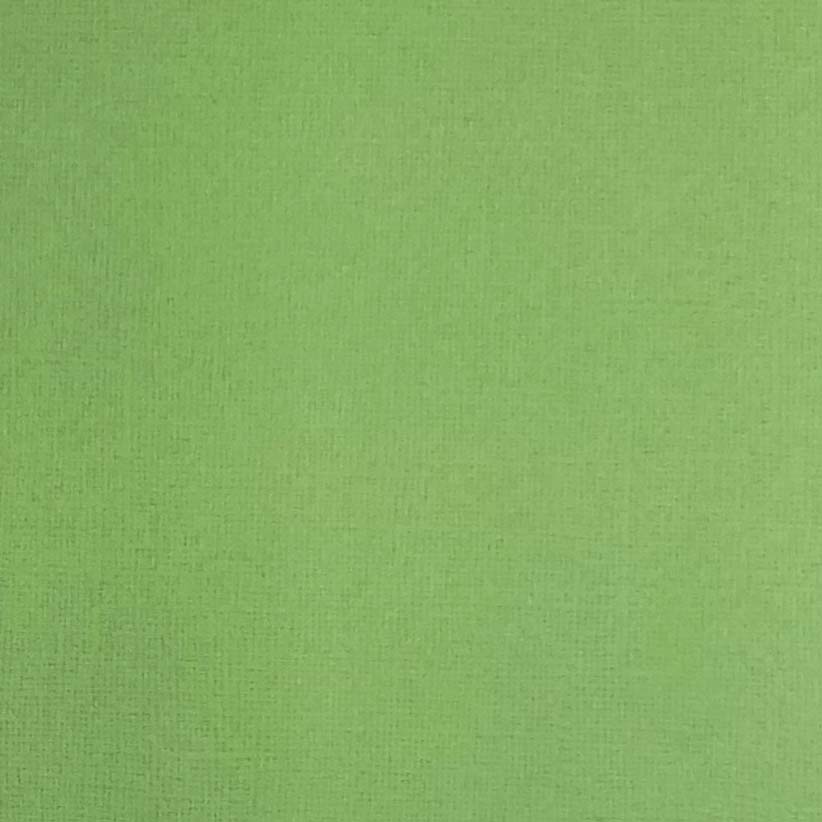 Reprint - Cardstock 12x12 - Grass Green