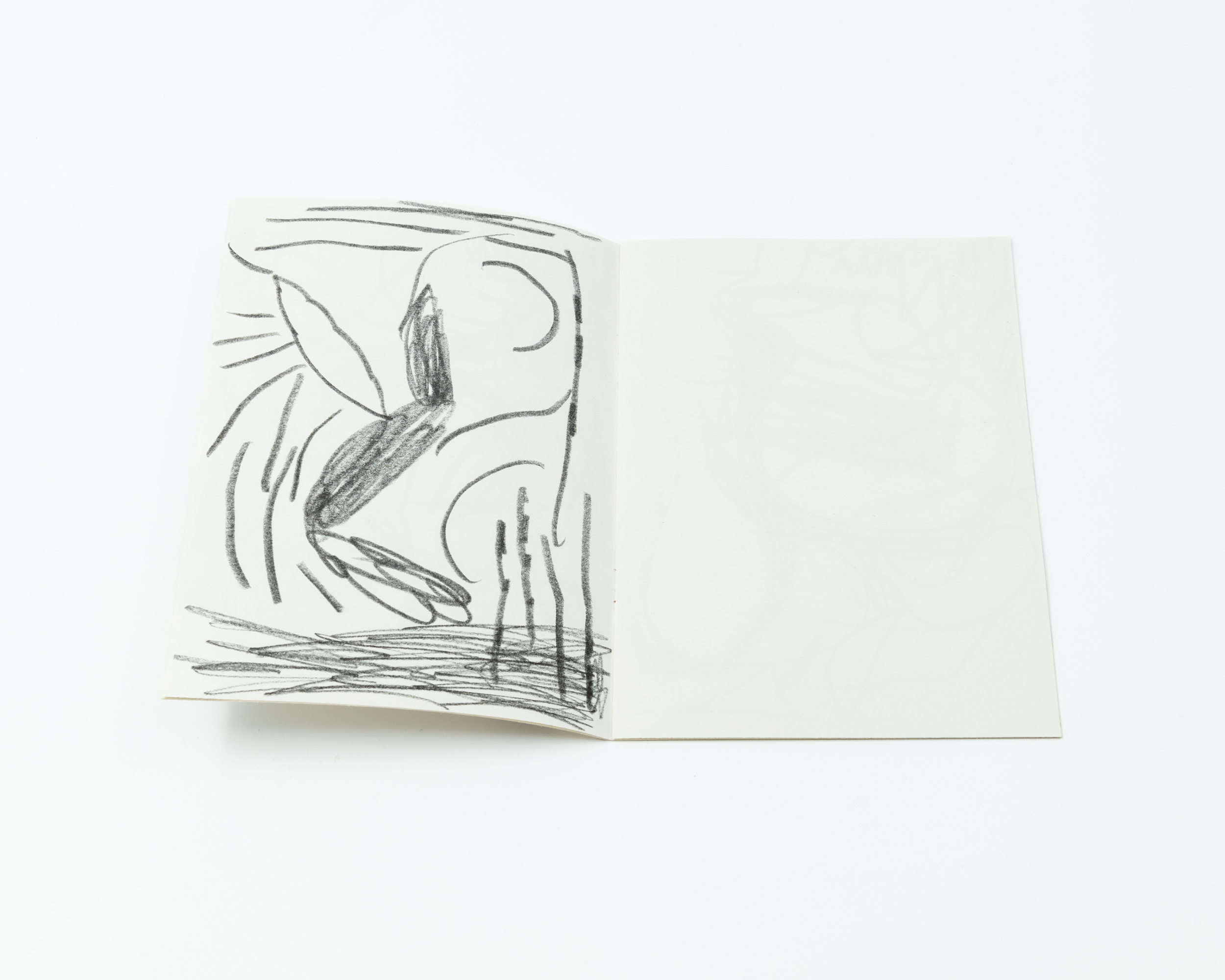 Shipwrecked, Daniel Jensen - 4