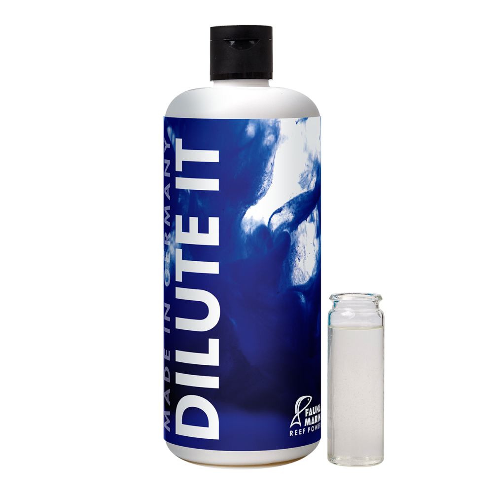 Fauna marin Dilute It