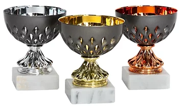 Pokal Java