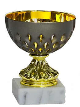 Pokal Java