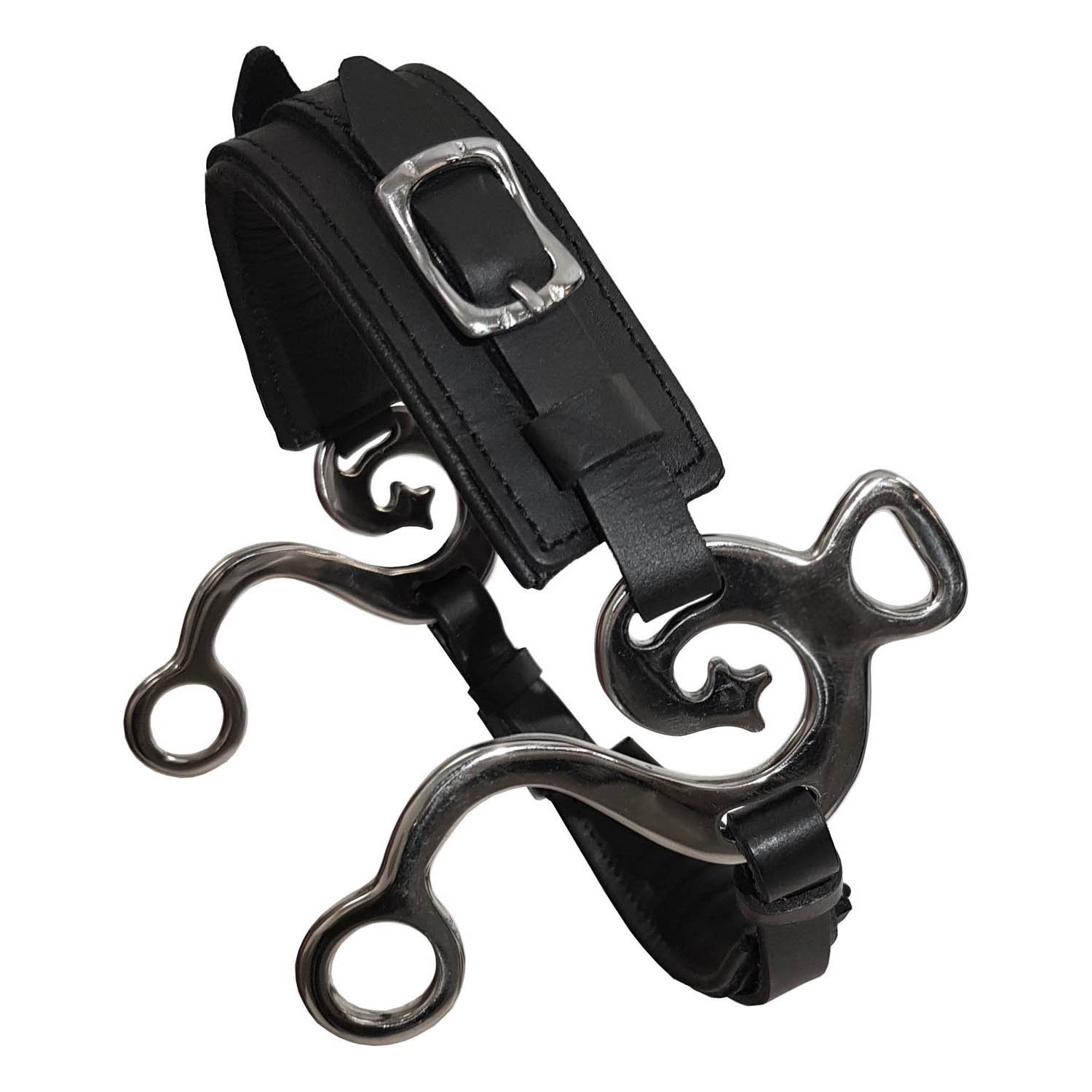 Hackamore Globus spansk Sort SS