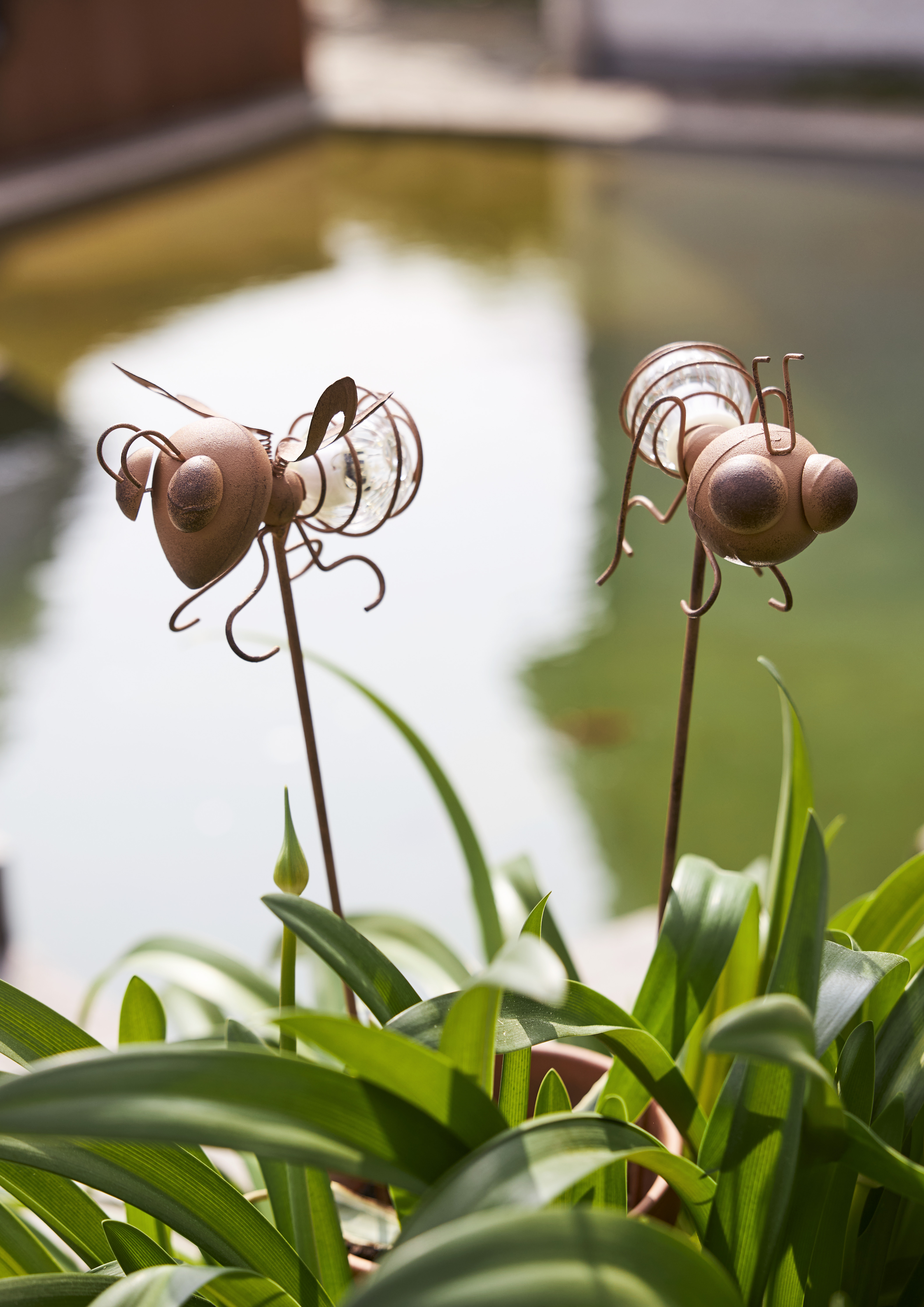 Solar cell decoration - Solar cell lighting - Ant/Fly - 2