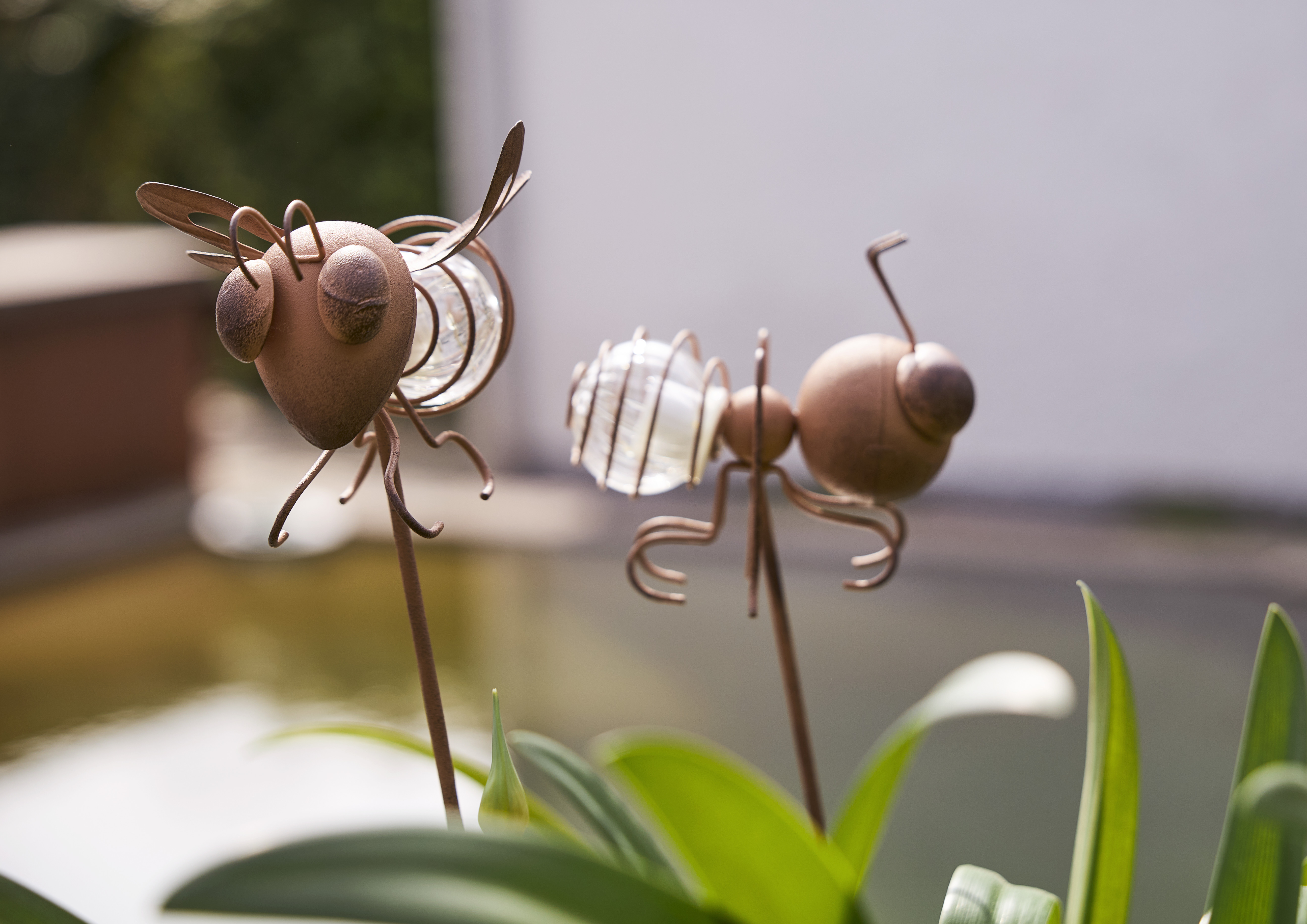 Solar cell decoration - Solar cell lighting - Ant/Fly - 8