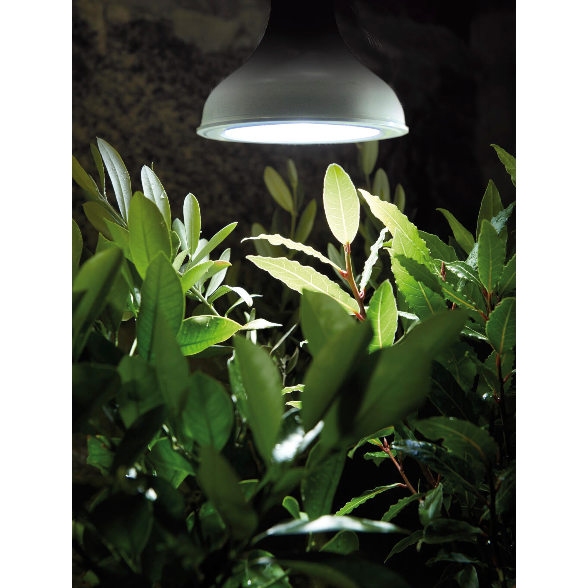 Växtbelysning LED-lampa 18W - E27