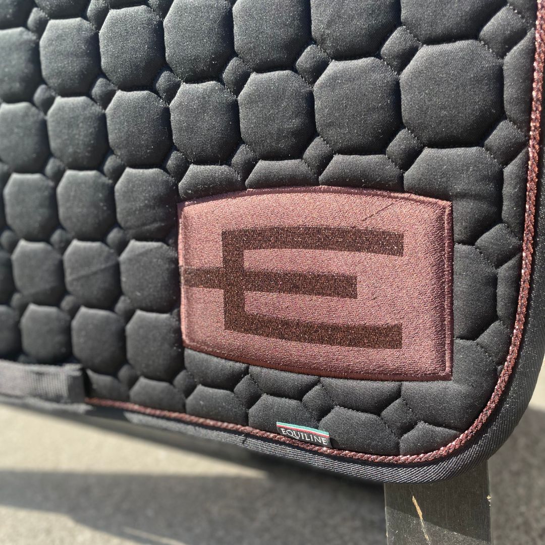 EQUILINE HOPPSCHABRAK MED E-LOGGA + 1 PASSPOAL - 2