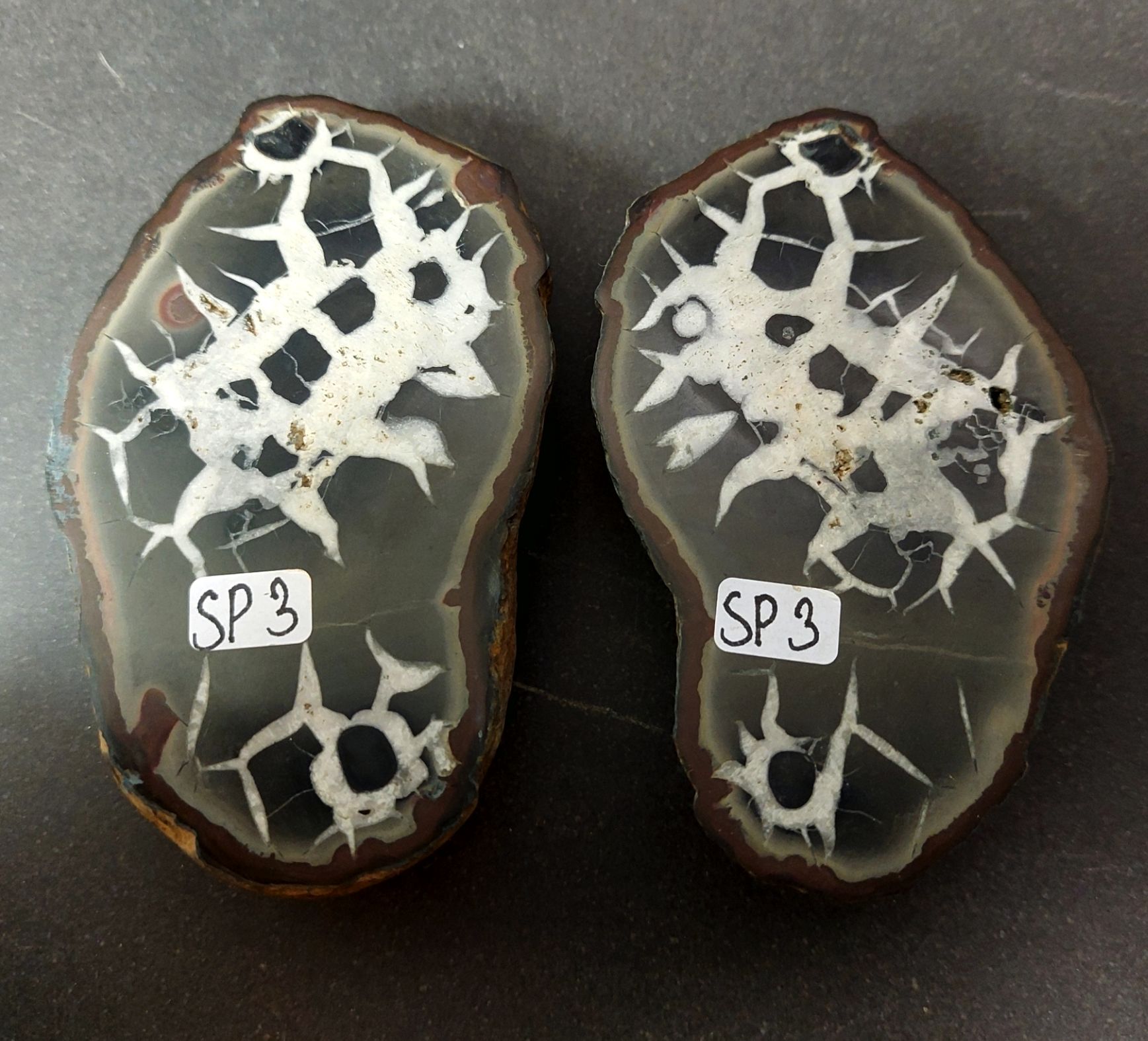 Septaria  Knölar / Nodules (Dragon eggs) - Slipade Halvor, nr1-10 - 3