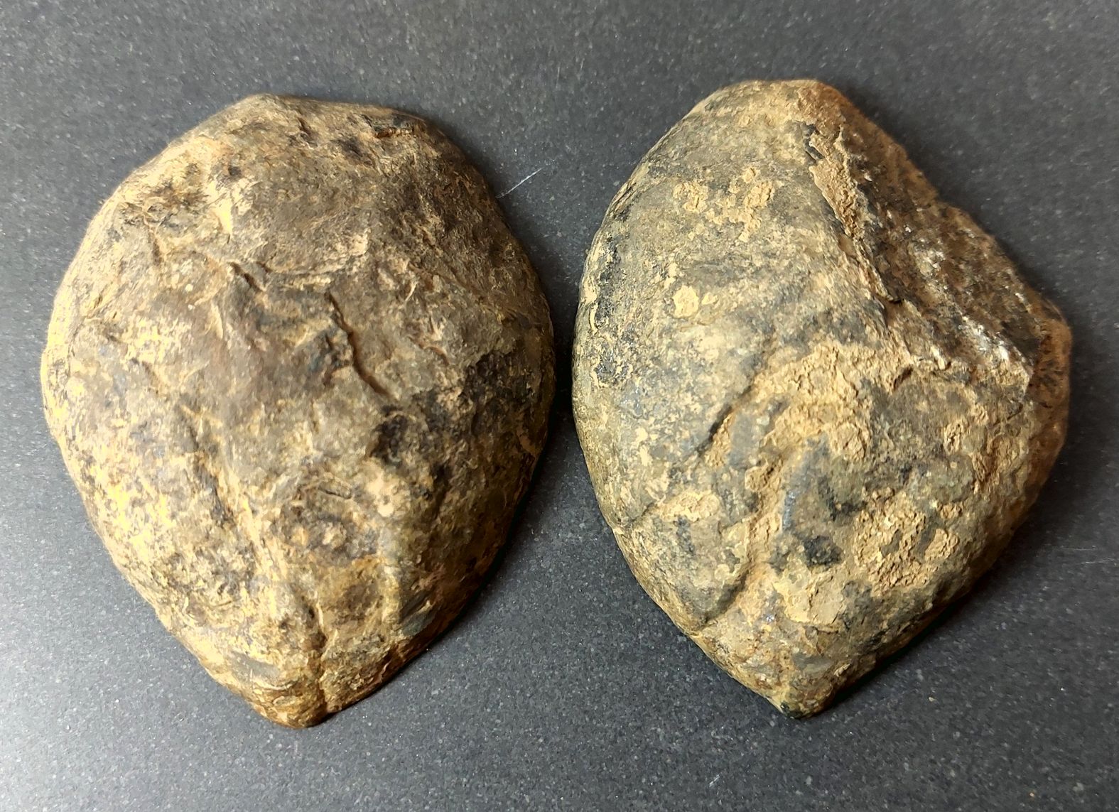 Septaria  Knölar / Nodules (Dragon eggs) - Slipade Halvor, nr1-10 - 12