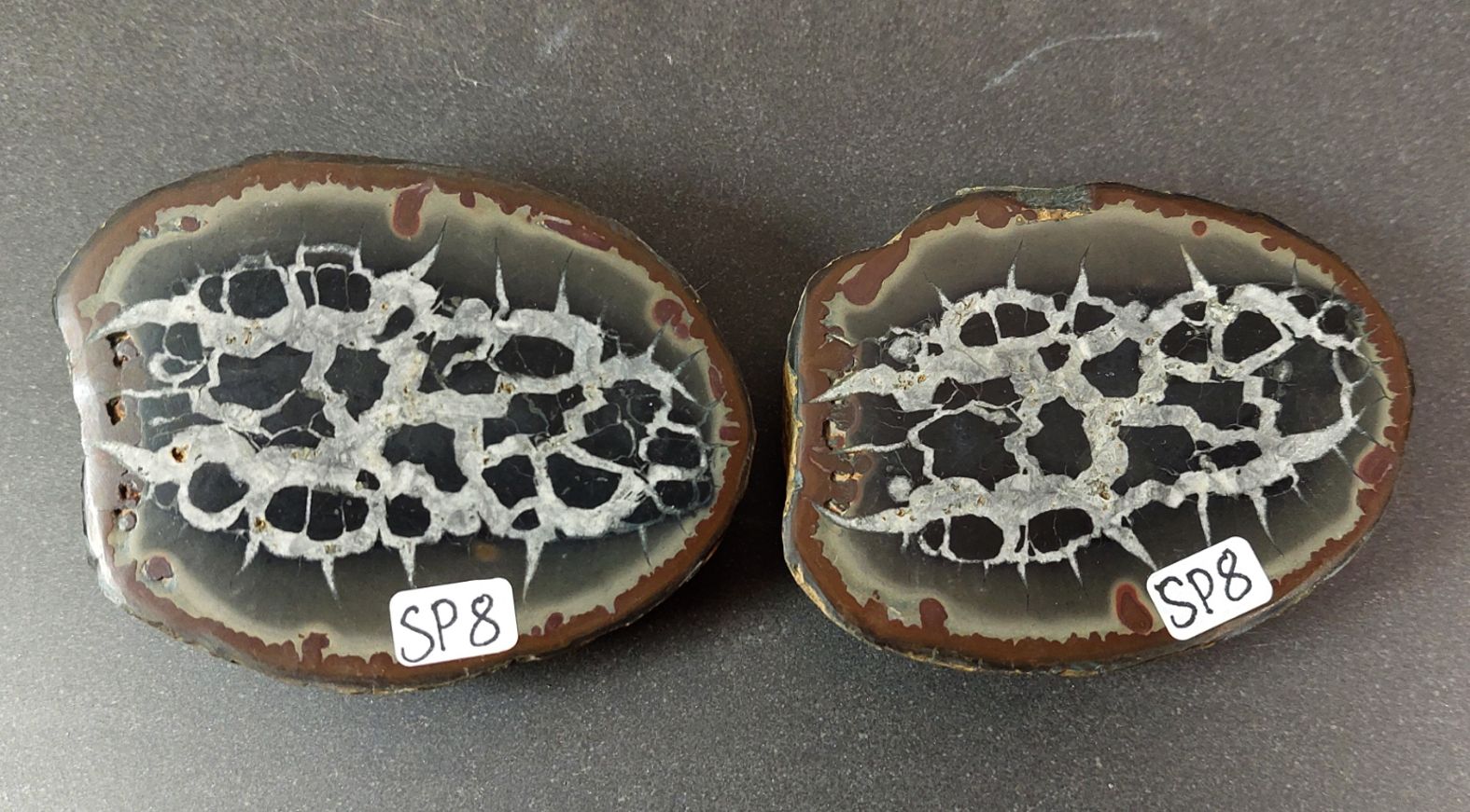 Septaria  Knölar / Nodules (Dragon eggs) - Slipade Halvor, nr1-10 - 8