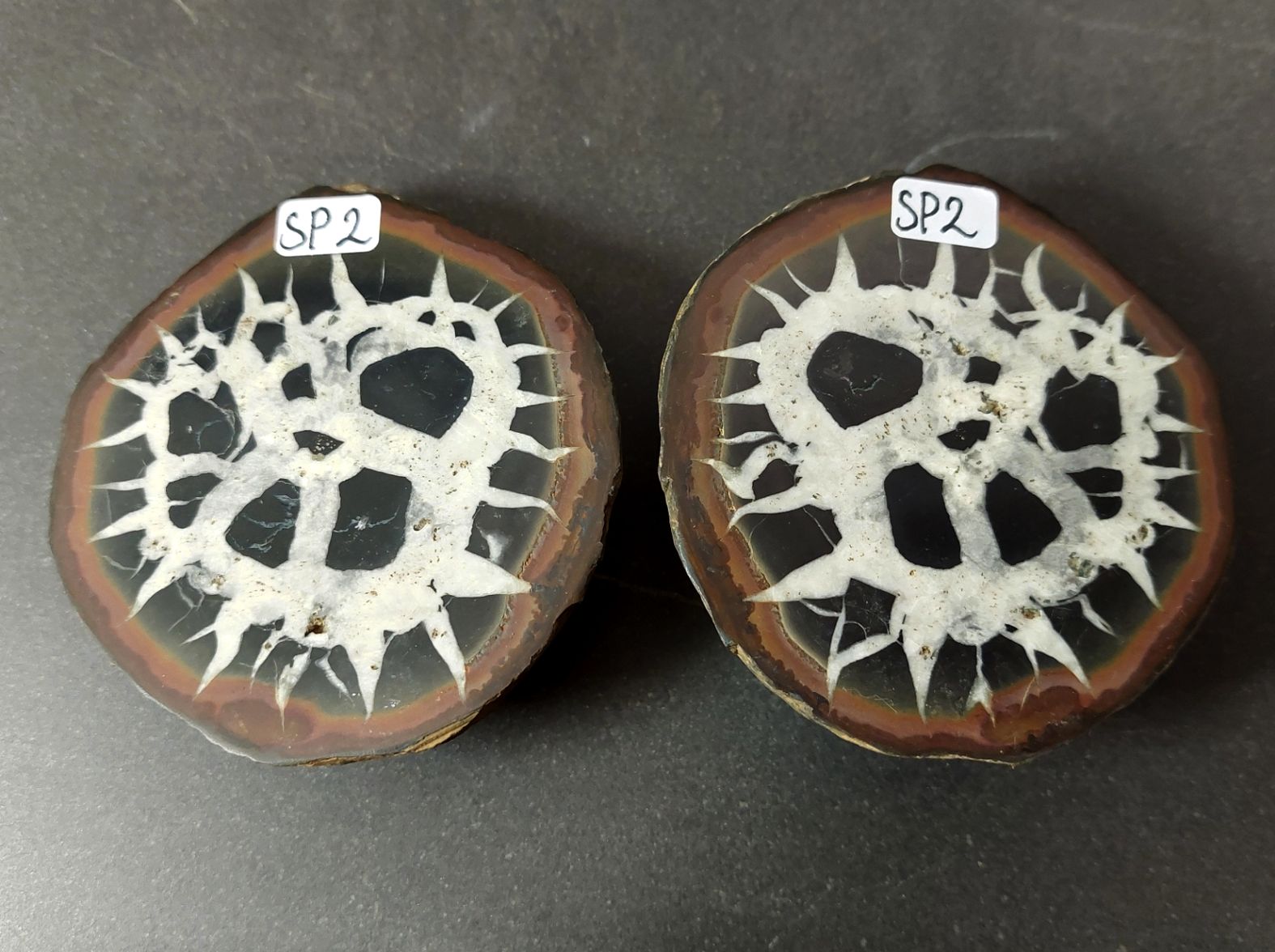 Septaria  Knölar / Nodules (Dragon eggs) - Slipade Halvor, nr1-10 - 2