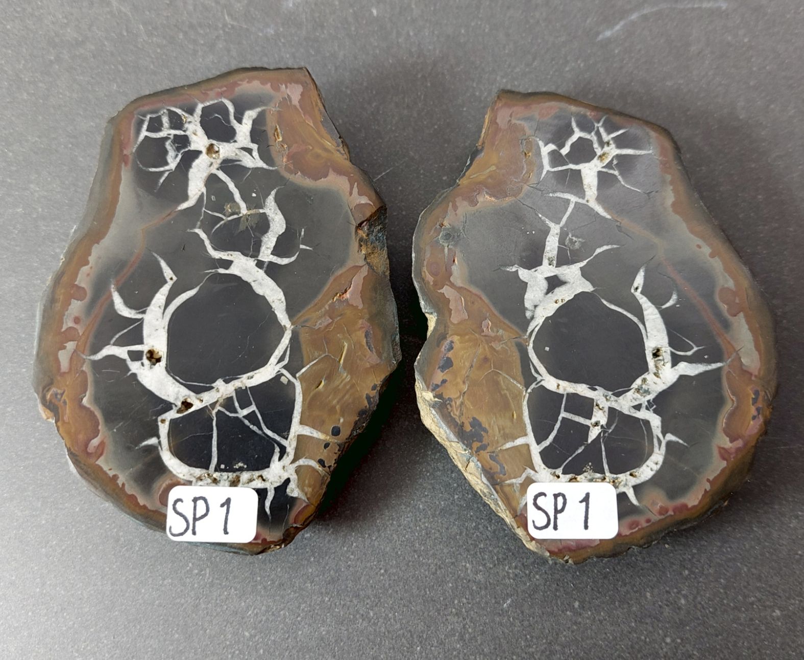 Septaria  Knölar / Nodules (Dragon eggs) - Slipade Halvor, nr1-10