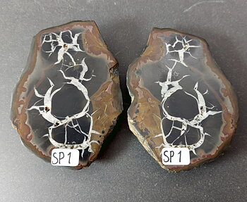 Septaria  Knölar / Nodules (Dragon eggs) - Slipade Halvor, nr1-10