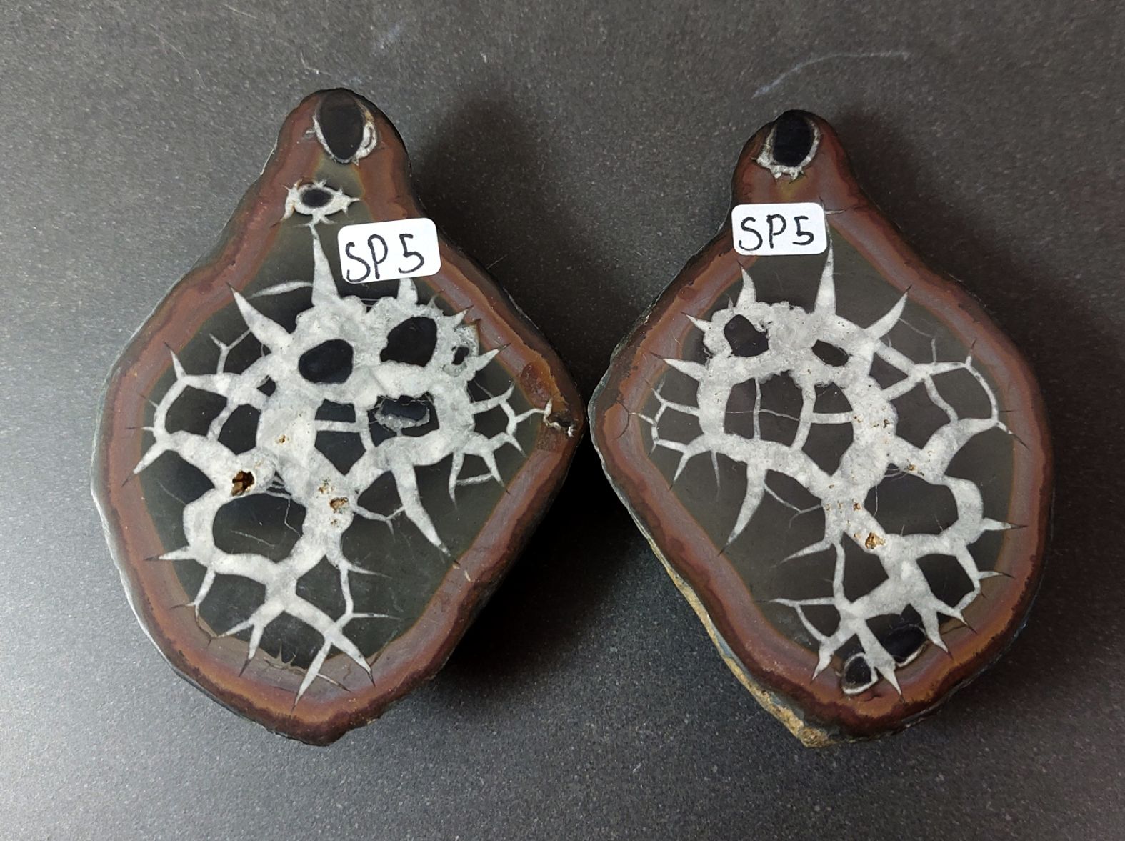 Septaria  Knölar / Nodules (Dragon eggs) - Slipade Halvor, nr1-10 - 5