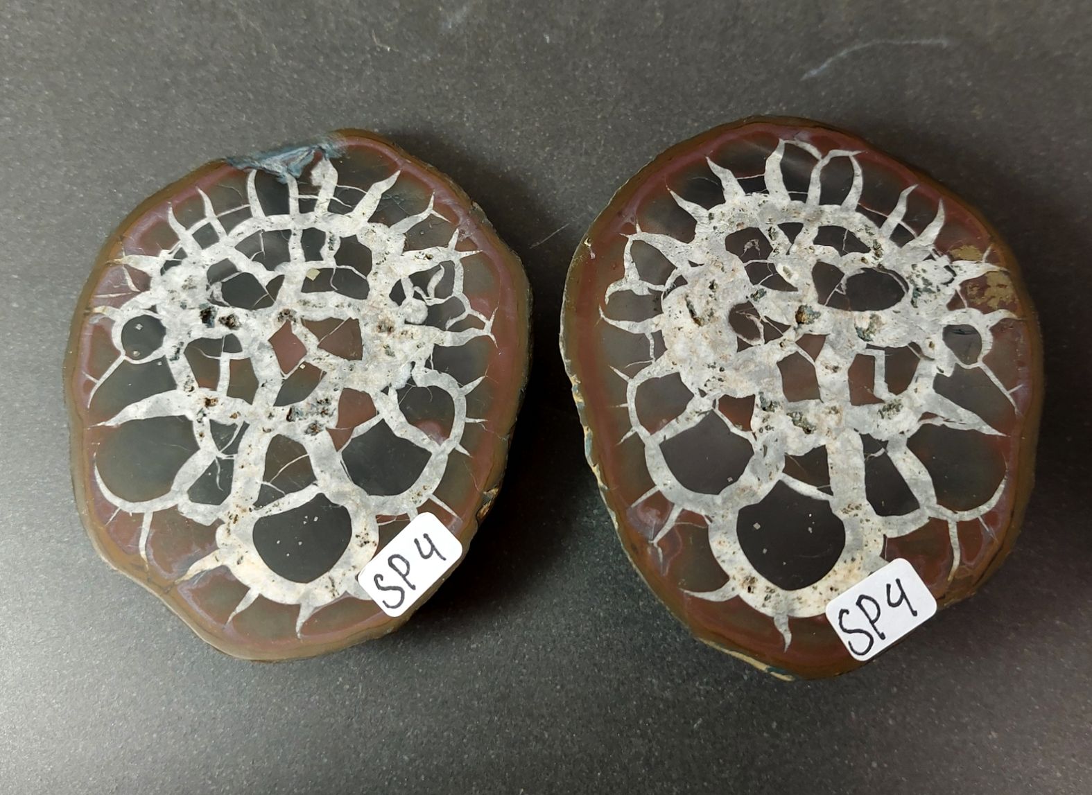 Septaria  Knölar / Nodules (Dragon eggs) - Slipade Halvor, nr1-10 - 4