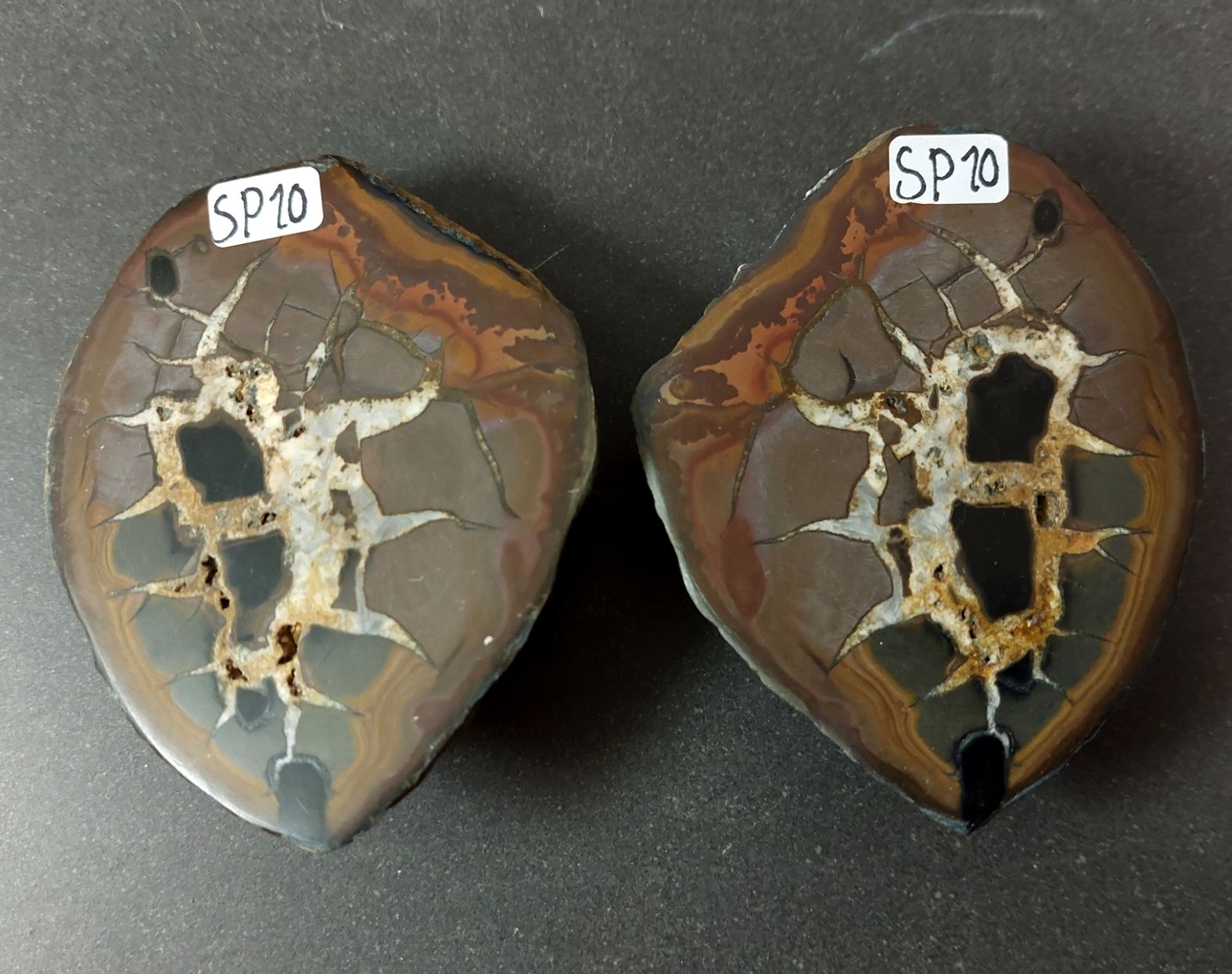 Septaria  Knölar / Nodules (Dragon eggs) - Slipade Halvor, nr1-10 - 10