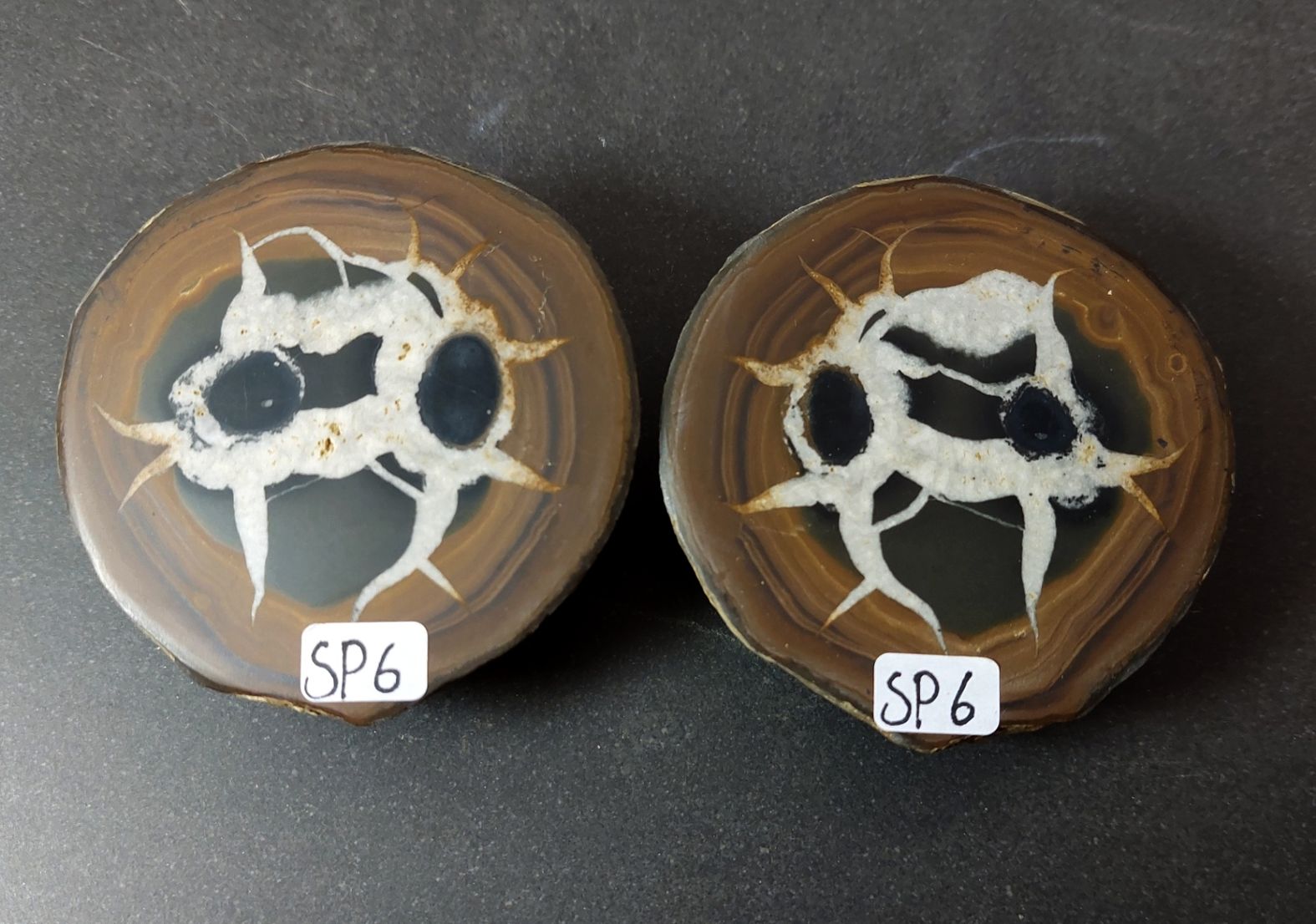 Septaria  Knölar / Nodules (Dragon eggs) - Slipade Halvor, nr1-10 - 6