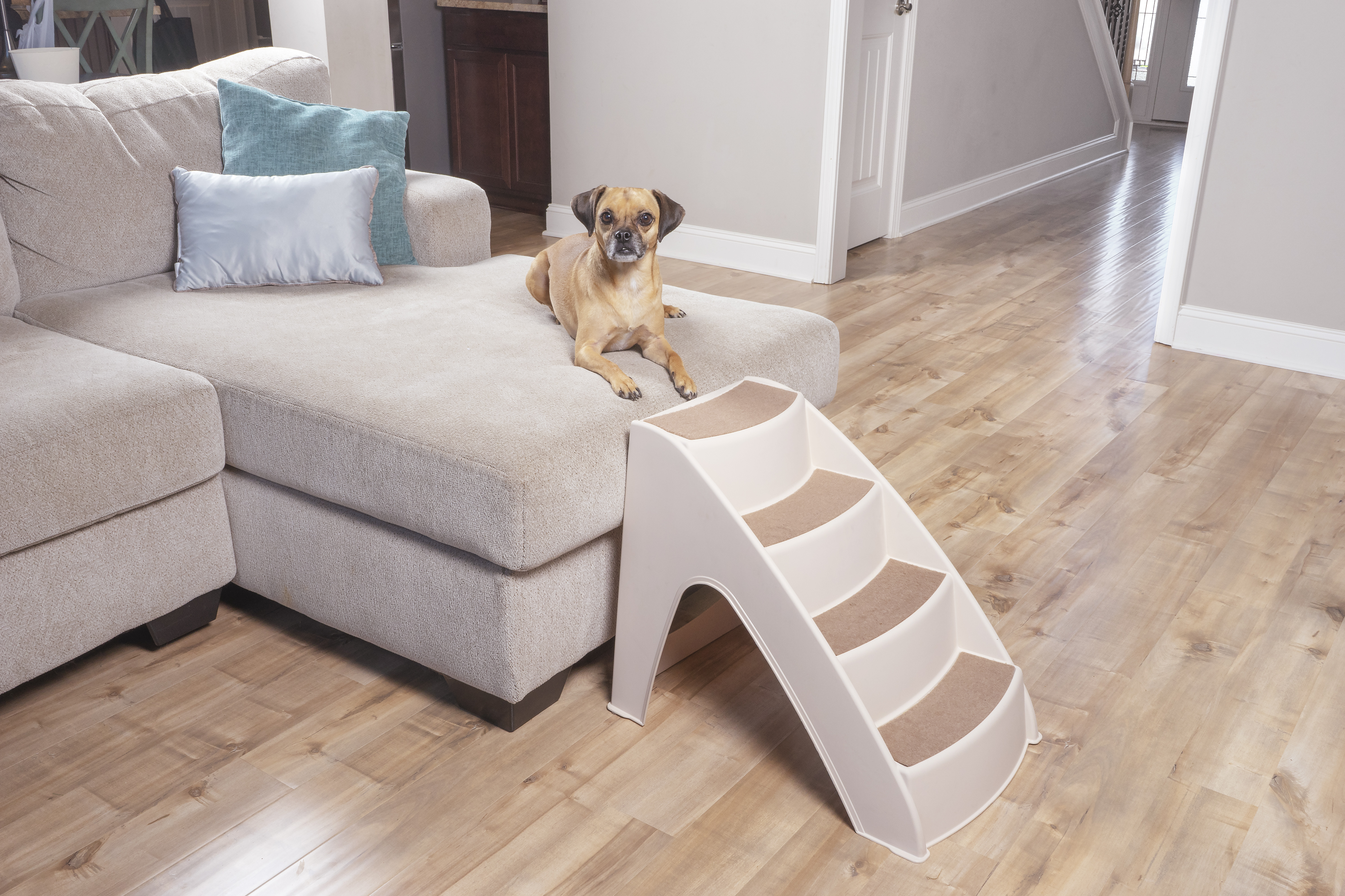 PetSafe CozyUp Pet Steps - Beige - Durable
