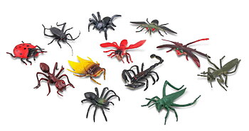 Insekter 24 delar