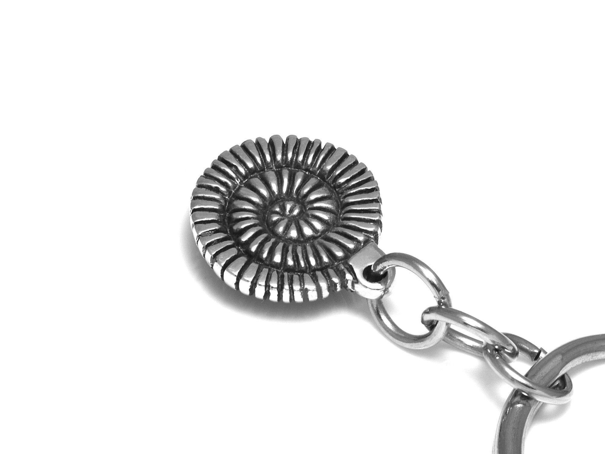 Ammonit Nyckelring, Fossil Accessoar, Djur Nyckelhållare i Tenn och Stål - 4