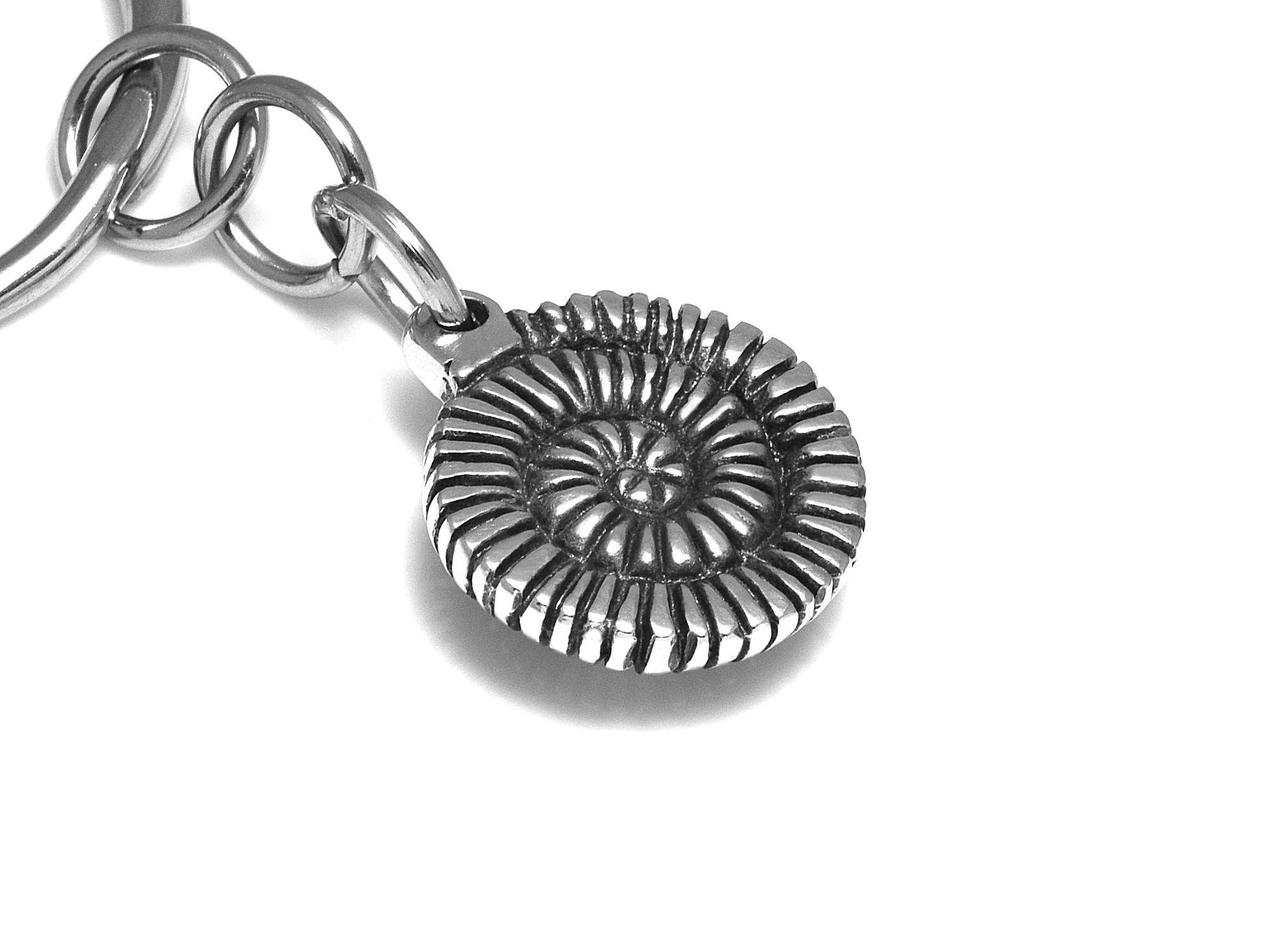 Ammonit Nyckelring, Fossil Accessoar, Djur Nyckelhållare i Tenn och Stål - 3