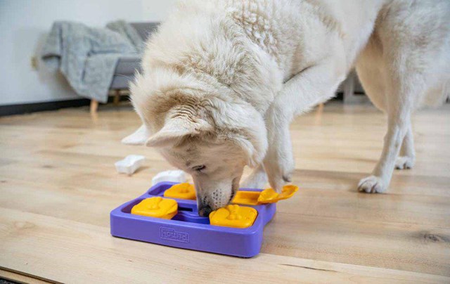 Nina Ottosson Aktiveringsleksak Dog Brick SMALL - Nivå 2 - 3