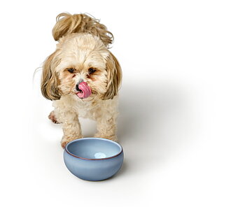 HUNTER Braga matskål keramik blå