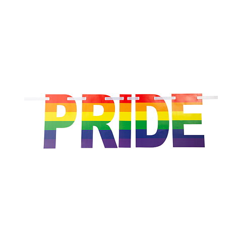 PRIDE Banner  2m