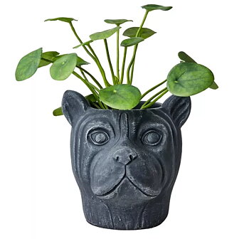 Kruka Hund svart betong rustik lantlig stil Gårdsromantik
