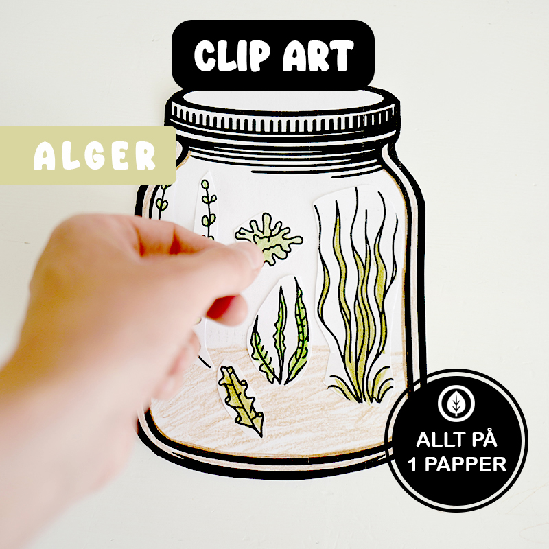 clip art alger i havet - klipp och klista alger i havet - pyssel för barn