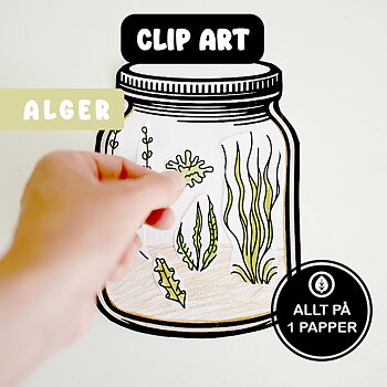 clip art alger i havet - klipp och klista alger i havet - pyssel för barn