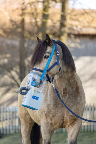 Hippomed AirOne Flex Battery Powered Ultrasound Inhaler For Horse