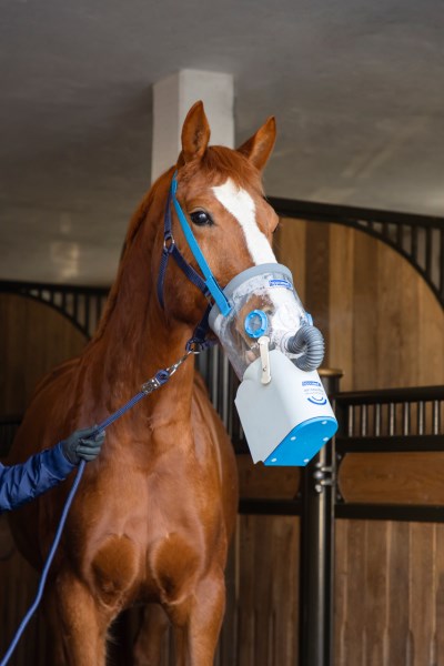 Hippomed AirOne Flex Battery Powered Ultrasound Inhaler For Horse - Cough 