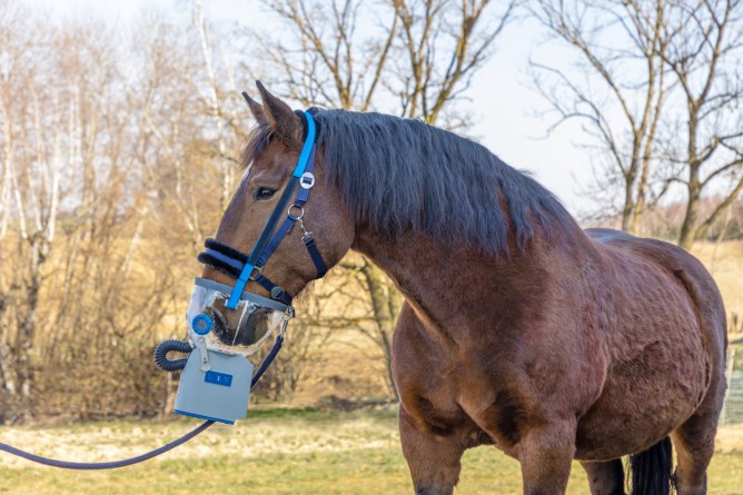 Hippomed AirOne Flex Battery Powered Ultrasound Inhaler For Horse