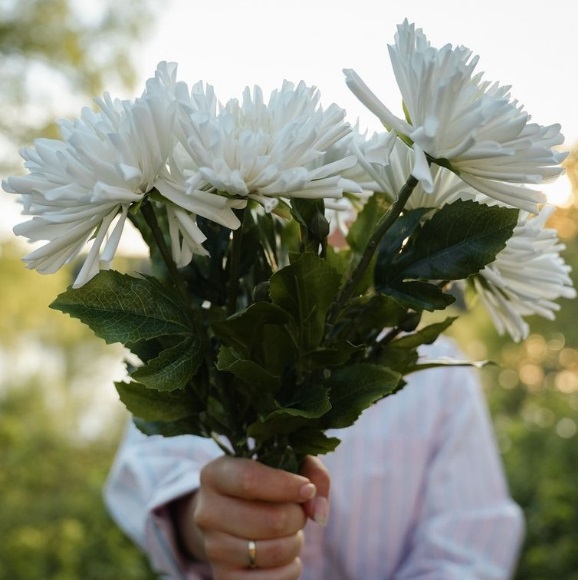 Chrysanthemum - White - 60 cm - 3