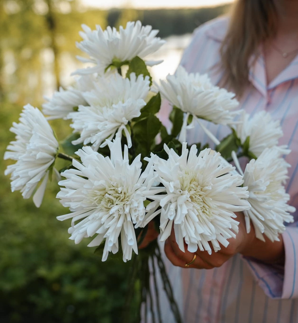 Chrysanthemum - White - 60 cm - 2