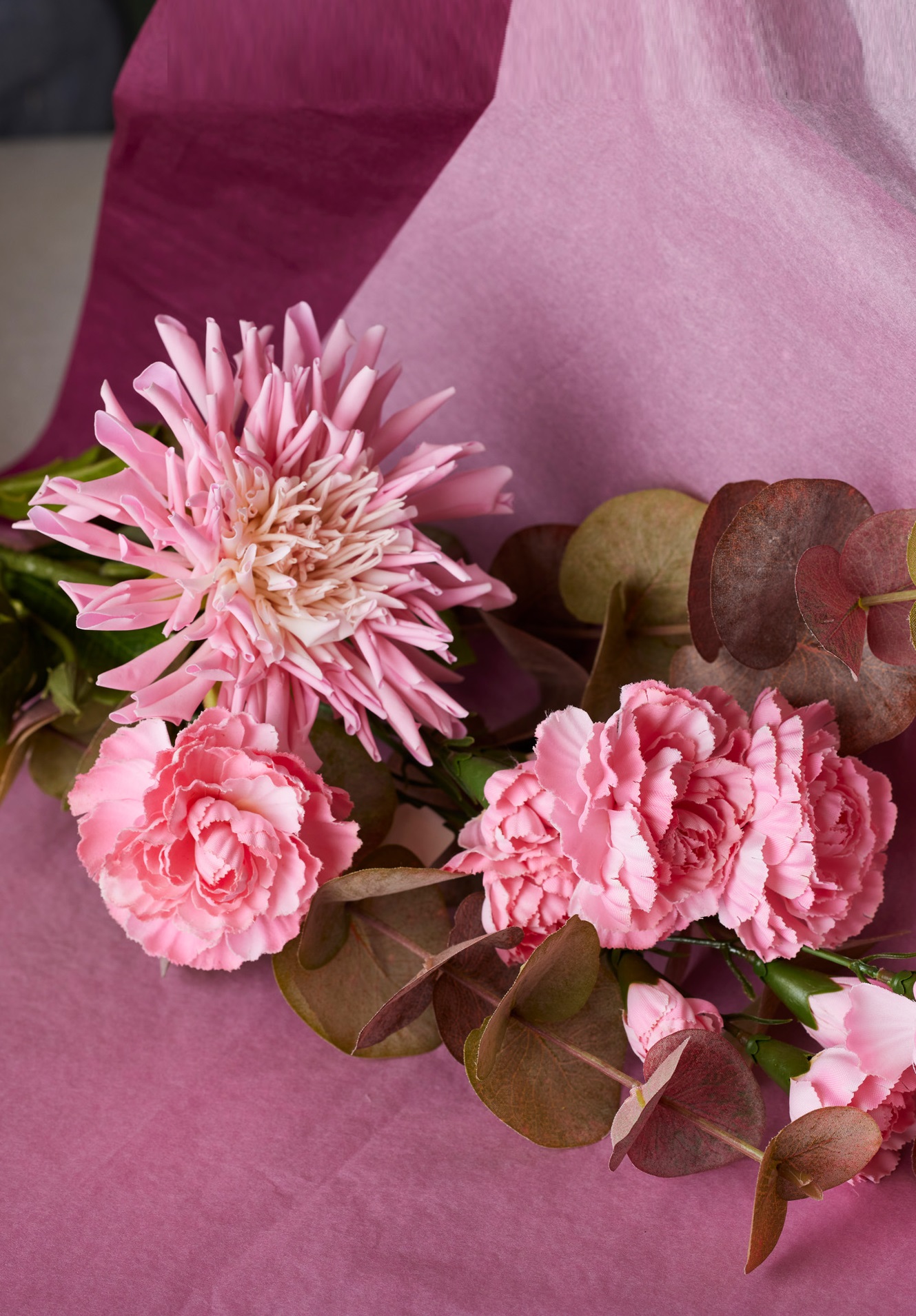 Chrysanthemum - Rosa - 60 cm - 4