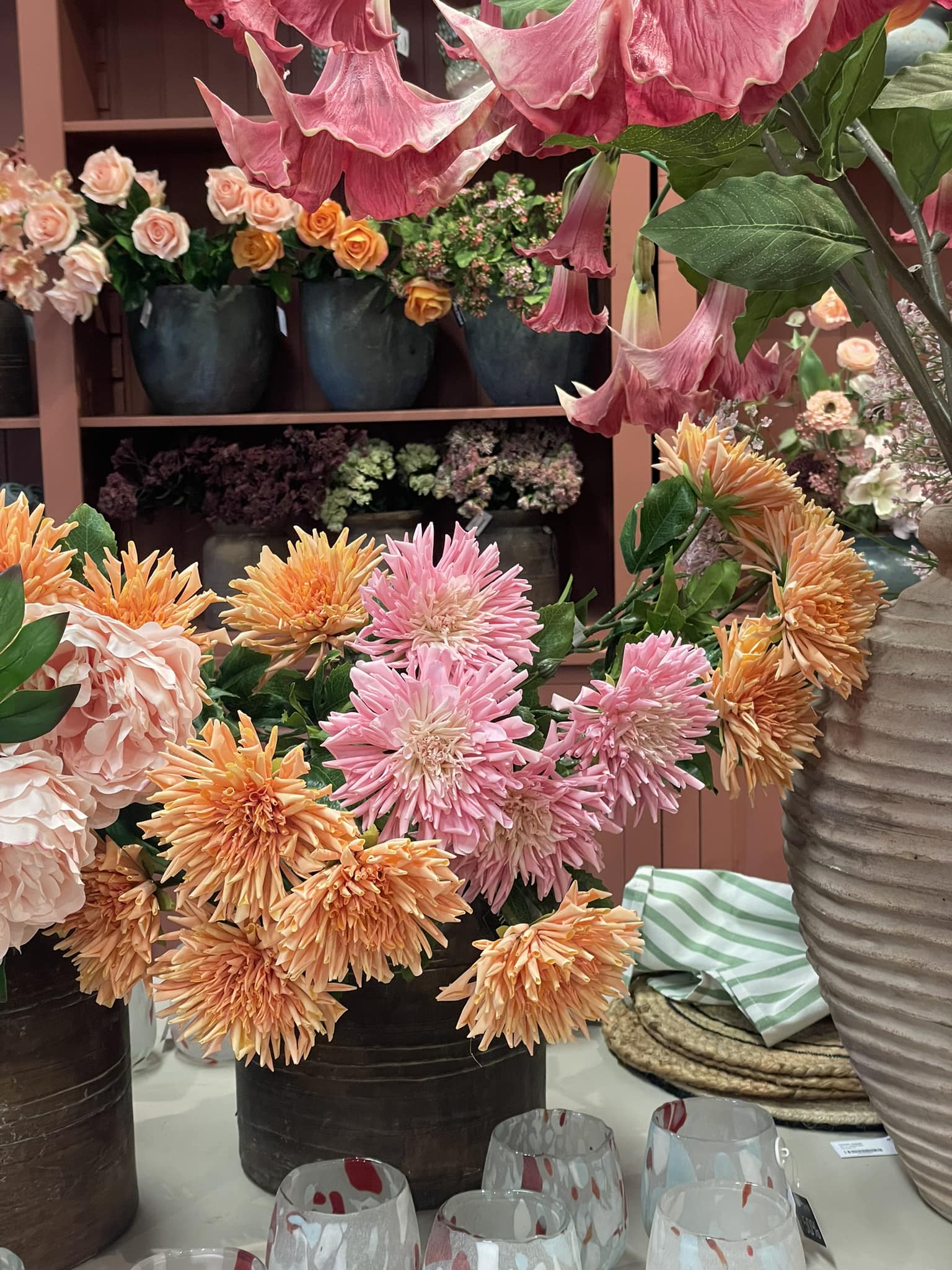 Chrysanthemum - Rosa - 60 cm - 3