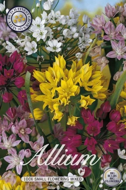 10025  ALLIUM  SMALLFLOWERING MIXADE  Antal lökar   100.St  Storlek  5/6