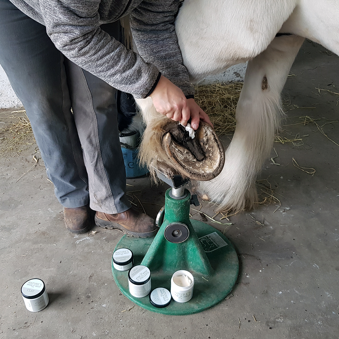 Nature's Hoof Help - Natures Cleaning Wipes - 2