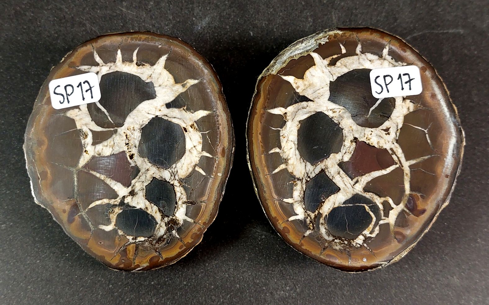 Septaria  Knölar / Nodules (Dragon eggs) - Slipade Halvor, nr11-20 - 9