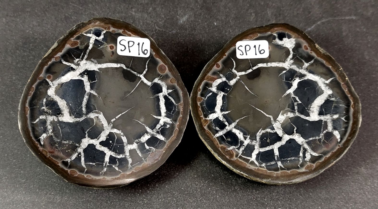 Septaria  Knölar / Nodules (Dragon eggs) - Slipade Halvor, nr11-20 - 8