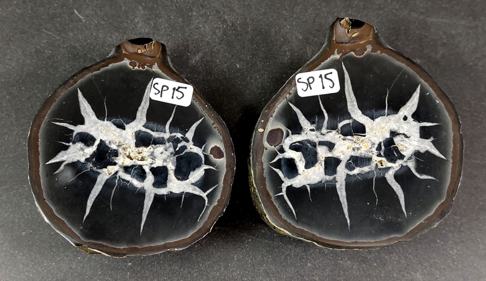 Septaria  Knölar / Nodules (Dragon eggs) - Slipade Halvor, nr11-20 - 7