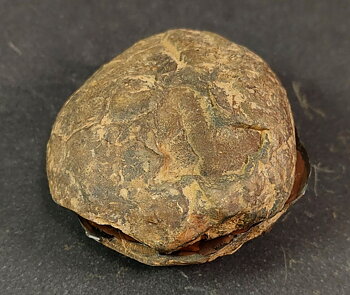 Septaria  Knölar / Nodules (Dragon eggs) - Slipade Halvor, nr11-20