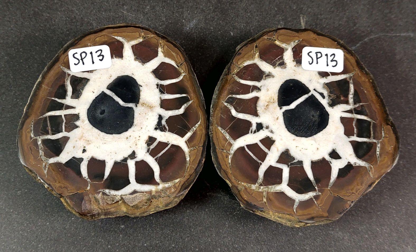 Septaria  Knölar / Nodules (Dragon eggs) - Slipade Halvor, nr11-20 - 5
